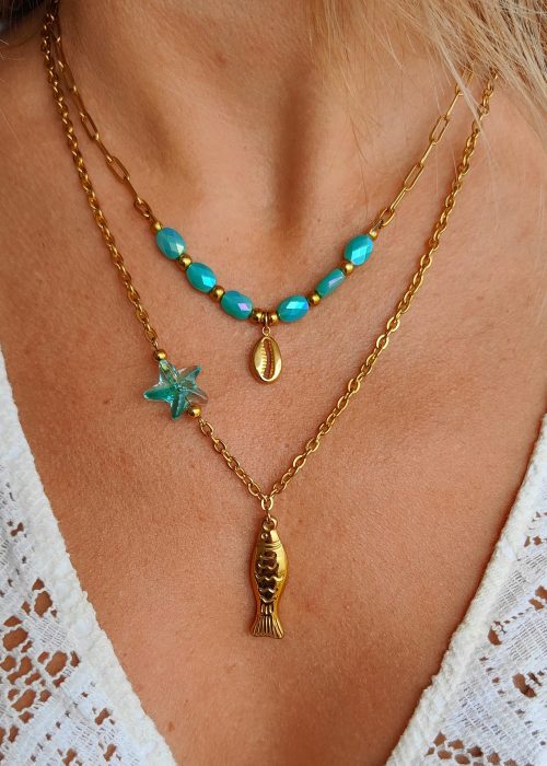 Pack 2 collares acero