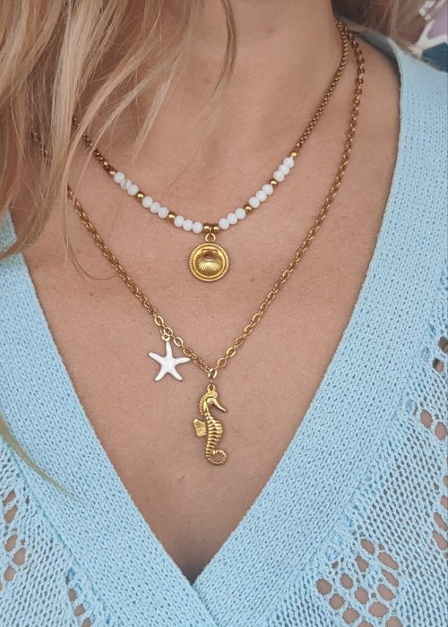 Pack 2 Collares Acero