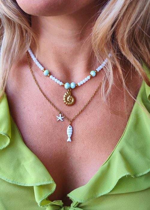 Pack 2 collares acero