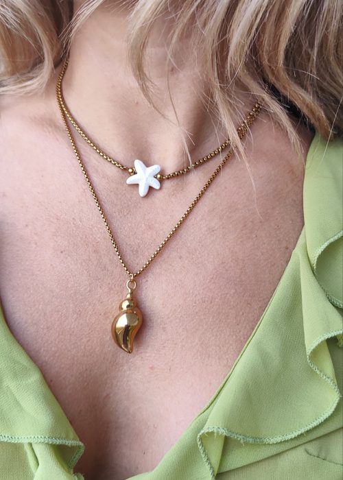 Pack 2 collares acero