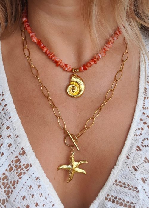 Pack 2 collares acero