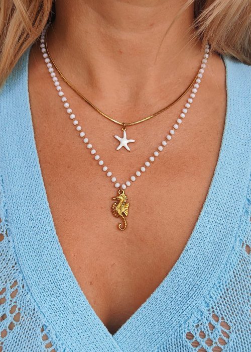 Pack 2 collares acero